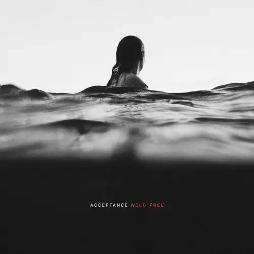 Acceptance Wild Free – VINYL LP