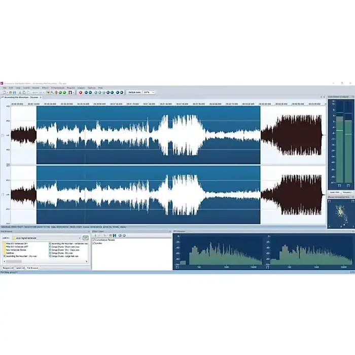 ACON DIGITAL Acon Acoustica Standard Guitar Center