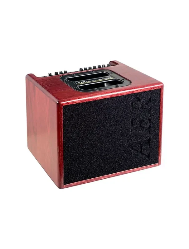 AER Compact 60/4 60-Watt 1×8″ Acoustic Combo Amp – Mahogany Stained Oak