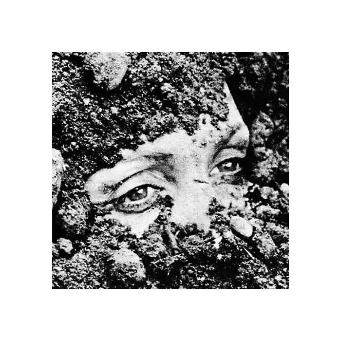 Alliance Body & Thou – Released From Love Guitar Center