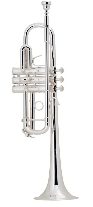 Bach C Professional Trumpet Model C180SL229W30