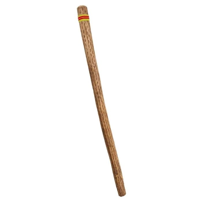 Basic Beat BBRS60L 60″ Wide Cactus Rainstick