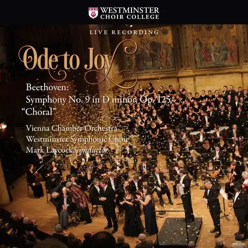 Beethoven / Vienna Chamber Orchestra Ode to Joy Beethoven Symphony No. 9 in D minor, Op. 125 Choral – COMPACT DISCS