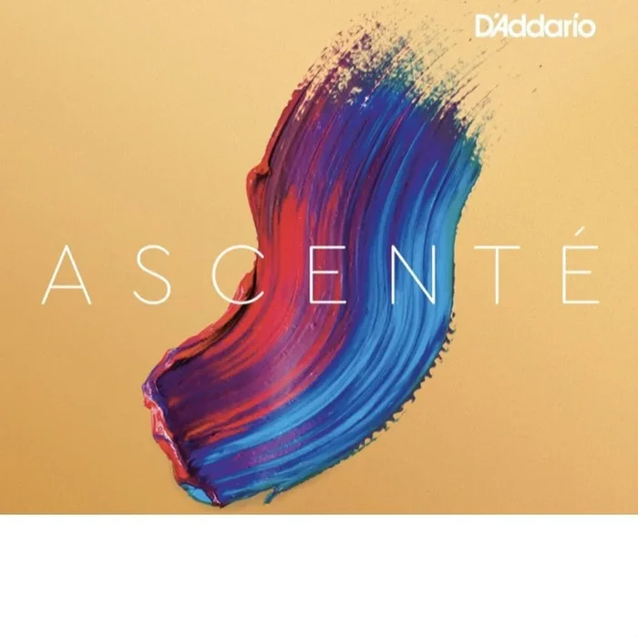 D String – 3/4 Size D’Addario Ascente Medium Tension Violin Strings (A313 3/4M)
