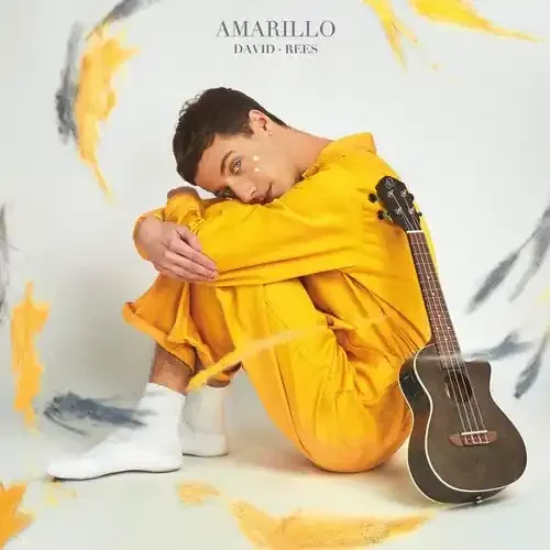 David Rees Amarillo – VINYL LP