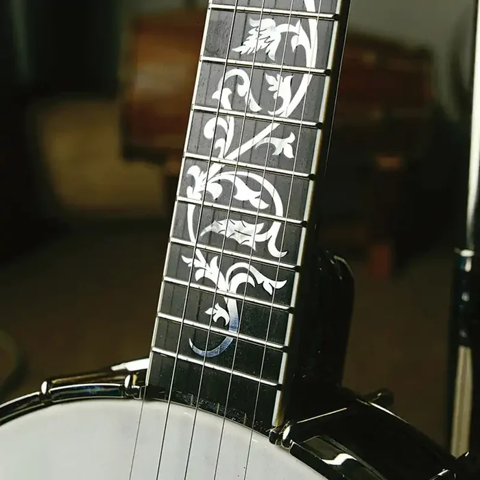 Deering David Holt Model Banjo