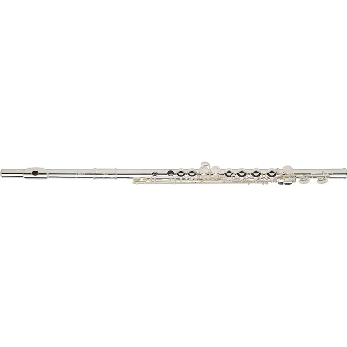 Gemeinhardt C Flute With Solid Silver Head