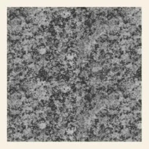 Girls Names New Life – 12-INCH SINGLE
