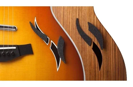 Guitar Care – Taylor T5 Foam Insert Set