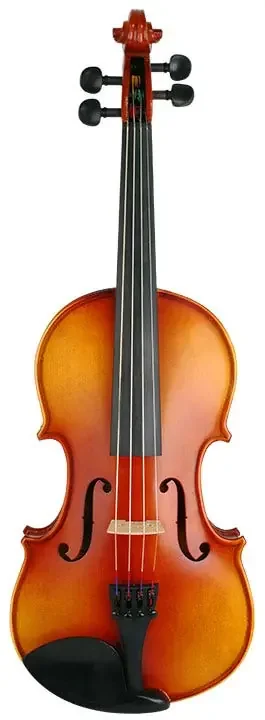 Gunter Maibach 4/4 Violin Outfit – GM150VI44