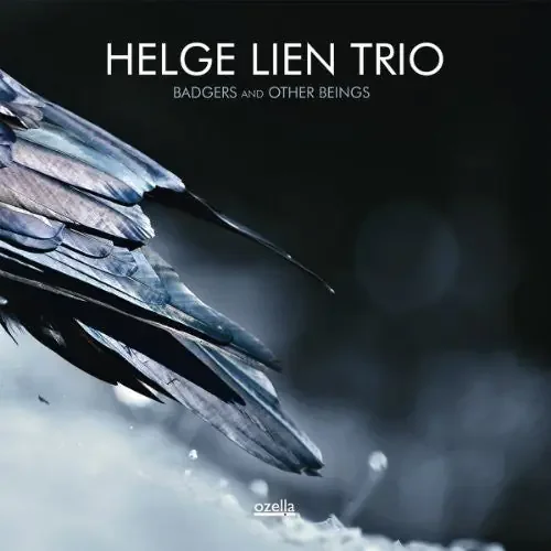 Helge Lien Badgers & Other Beings – COMPACT DISCS