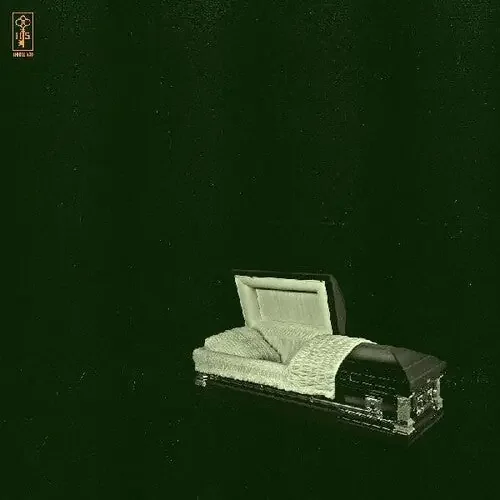 Holy Sons Raw And Disfigured – VINYL LP