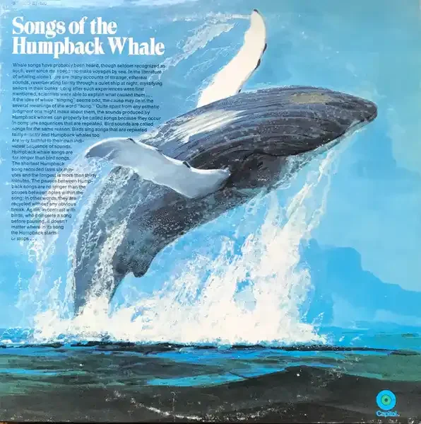Humpback Whale – Songs Of The Humpback Whale