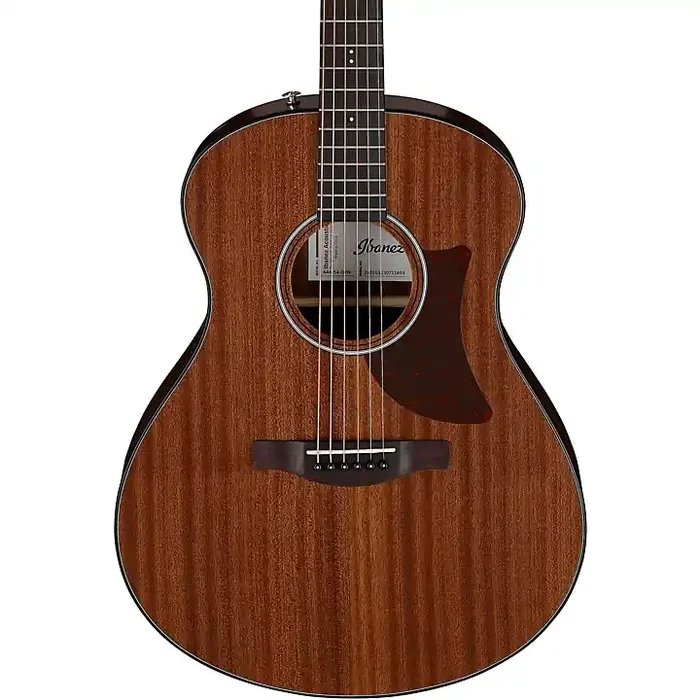 Ibanez AAM54 Advanced Auditorium Acoustic Guitar Natural Guitar Center