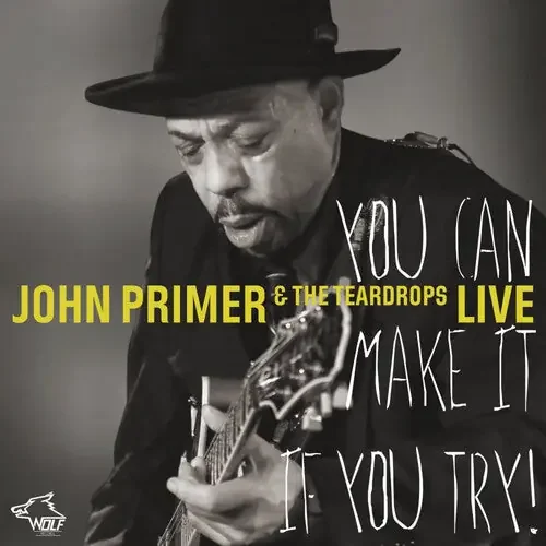 John Primer You Can Make It If You Try – COMPACT DISCS