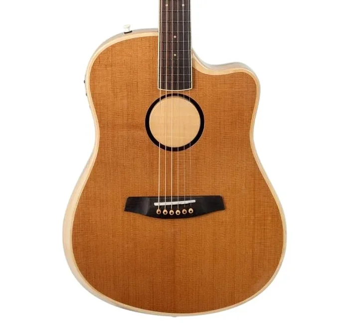 LR Baggs AEG-1 Electro Acoustic Guitar in Torrified – Andertons Music Co
