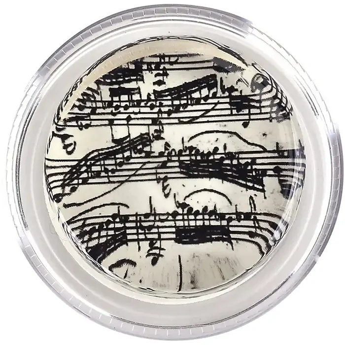 Magic Rosin 3G Formula Rosin Bach Manuscript Guitar Center