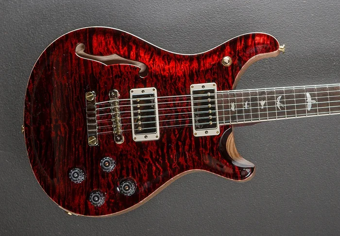 McCarty 594 Semi-Hollow Wood Library Limited – Red Tiger w/Ash