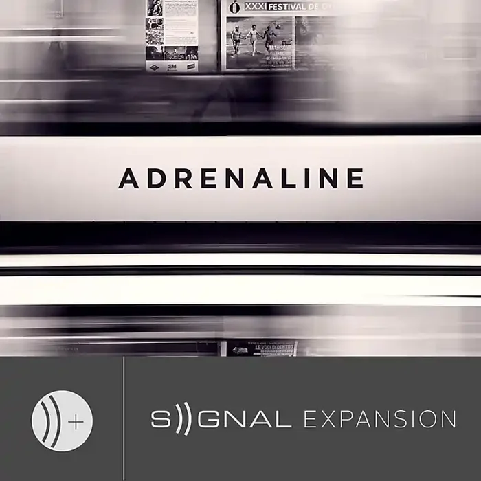 Output SIGNAL Expansion Pack – Adrenaline Guitar Center