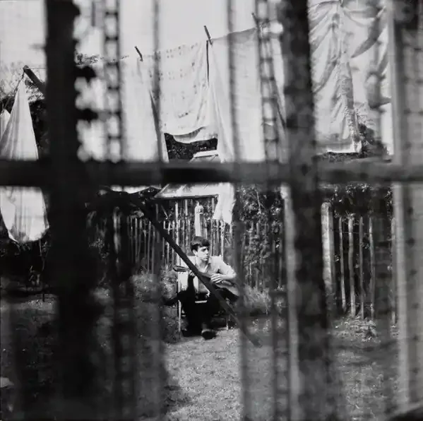 Paul McCartney – Chaos And Creation In The Backyard