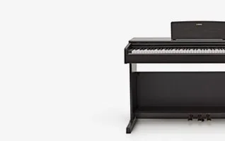 Pianos & Keyboards |