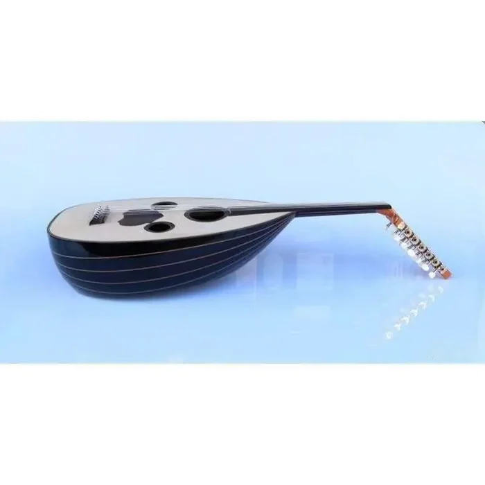Professional Arabic Electric Oud AAOK-208G