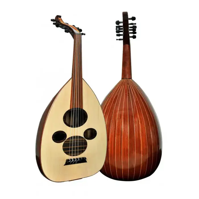 Professional Arabic Mahogany Besir Oud 12 Strings with Soft Carry Case Glossy Finish