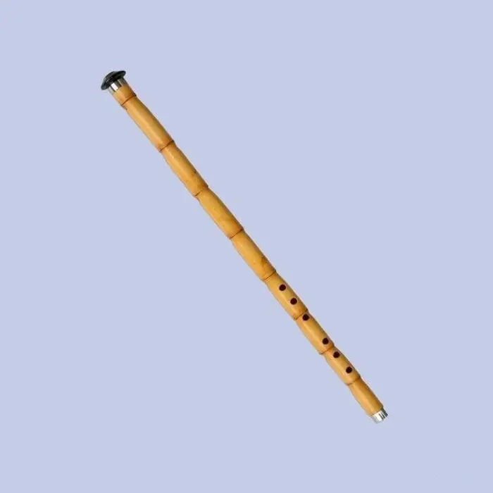Professional Turkish Ney With Horn Baspare RNH-404