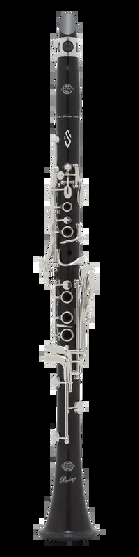 Selmer Paris Professional Clarinet Model B16PR2EV