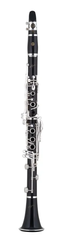 Selmer Paris Professional Clarinet Model B16SIG