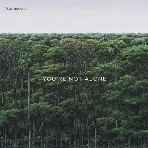 Semisonic You‘re Not Alone – VINYL LP