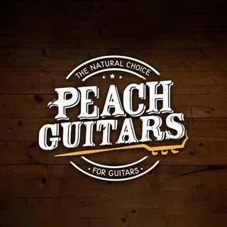 Unbeatable PRS SE Hollowbody II Piezo Offers at Peach Guitars!