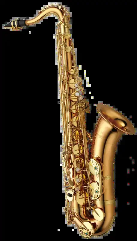 Yanagisawa T-WO2 Professional Bb Tenor Saxophone – Lacquered